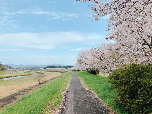 「3月期末」のサムネイル